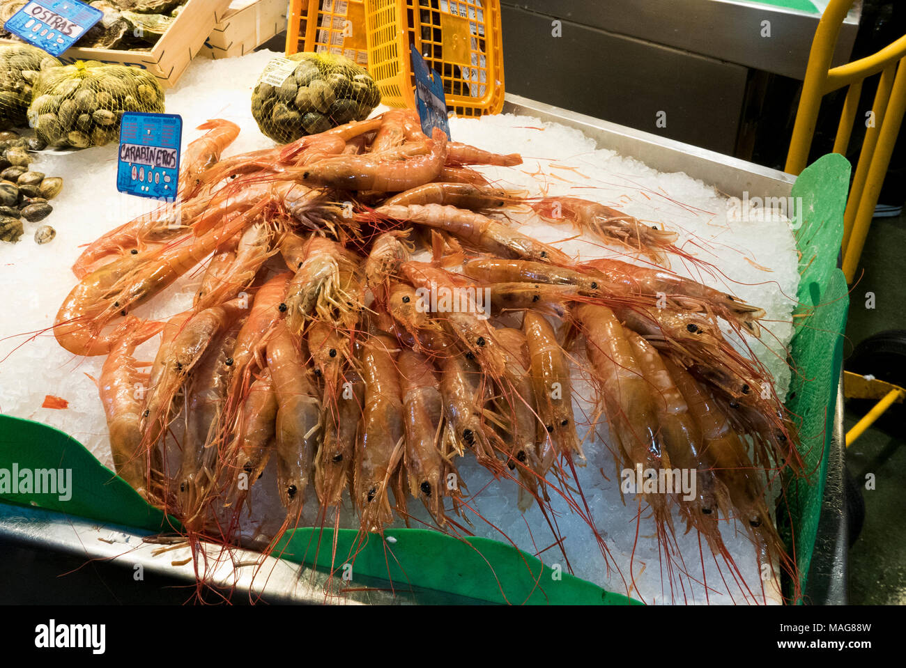 Gamberetti freschi in Vendita in La Boqueria il mercato coperto vicino a La Rambla, Barcelona, Spagna. Foto Stock