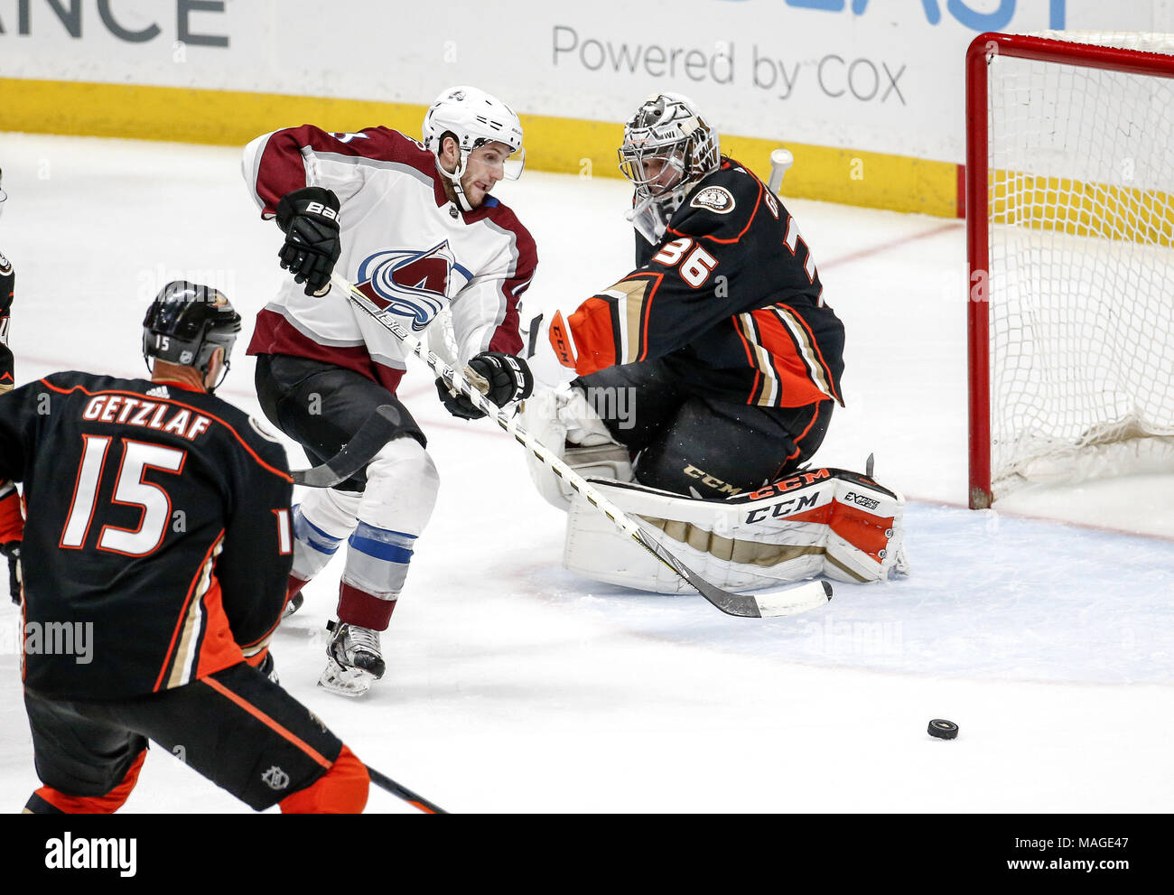 Los Angeles, California, USA. 1 apr, 2018. Colorado Avalanche di avanti Alexander Kerfoot (13) tenta di ottenere un colpo in Anaheim Ducks' goalie John Gibson (36) durante il 2017-2018 NHL Hockey gioco di Anaheim, California, il 1 aprile 2018. Le anatre ha vinto 4-3 in ore di lavoro straordinario. Credito: Ringo Chiu/ZUMA filo/Alamy Live News Foto Stock