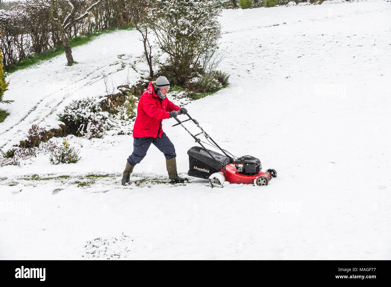 Mansfield, Inghilterra. 2 apr, 2018. Regno Unito: Meteo 2a. Aprile 2018. La sua molla e l'erba ha bisogno di taglio. Durante la notte la neve copre gran parte delle East Midlands come si sposta a nord seguita da pioggia. Credito: Alan Keith Beastall/Alamy Live News Foto Stock