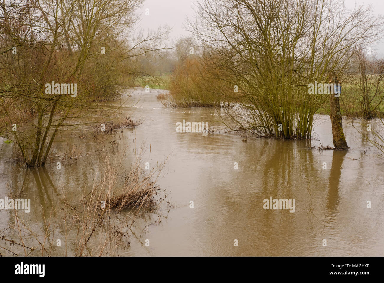 Fiume Nadder, Wiltshire. Il 2 aprile 2018. Regno Unito Meteo: Allarme alluvione aree in Tisbury, Chicksgrove, Sutton Mandeville, Dinton, Barford St Martin, Wilton, Quidhampton, Salisbury in stretta vicinanza al fiume Nadder. Credit Paul Chambers Credit: © Paul Chambers / Alamy Stock Photo/Alamy Live News Foto Stock