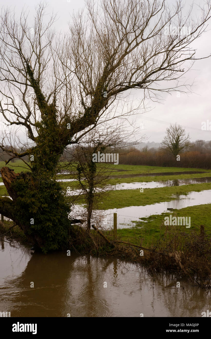 Fiume Nadder, Wiltshire. Il 2 aprile 2018. Regno Unito Meteo: Allarme alluvione aree in Tisbury, Chicksgrove, Sutton Mandeville, Dinton, Barford St Martin, Wilton, Quidhampton, Salisbury in stretta vicinanza al fiume Nadder. Credit Paul Chambers Credit: © Paul Chambers / Alamy Stock Photo/Alamy Live News Foto Stock