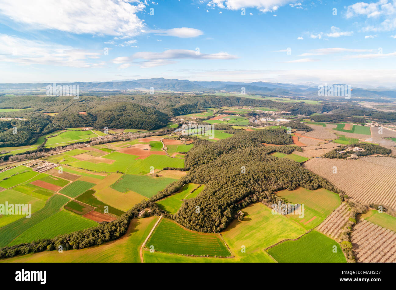 Vista aerea di campi di raccolto con tubicini di foresta, alcune noci sulla destra, Garrotxa, Catalogna, Spagna Foto Stock