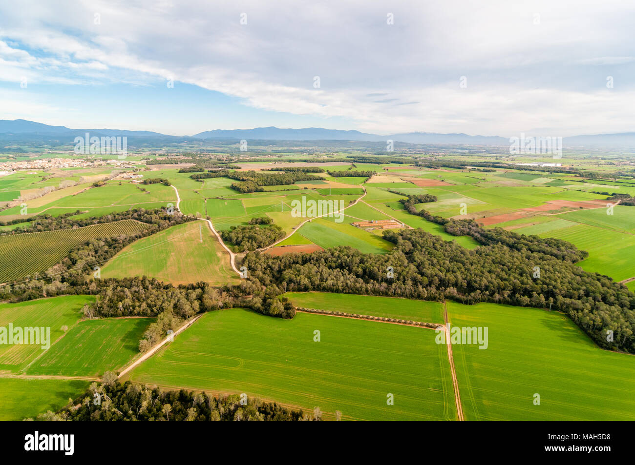 Vista aerea di campi di raccolto con la foresta tubicini, Garrotxa, Catalogna, Spagna Foto Stock