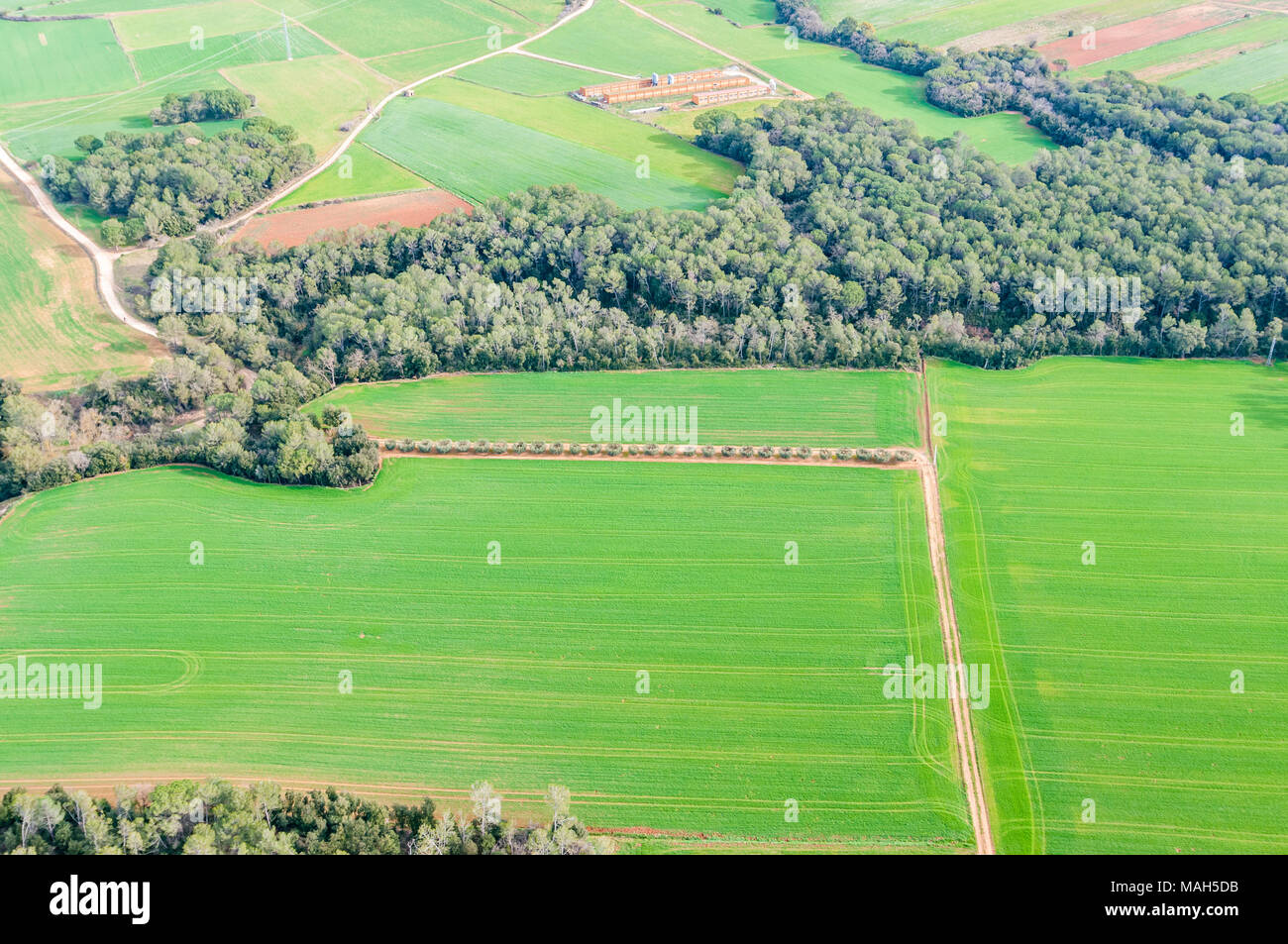 Vista aerea di campi di raccolto con la foresta tubicini, Garrotxa, Catalogna, Spagna Foto Stock