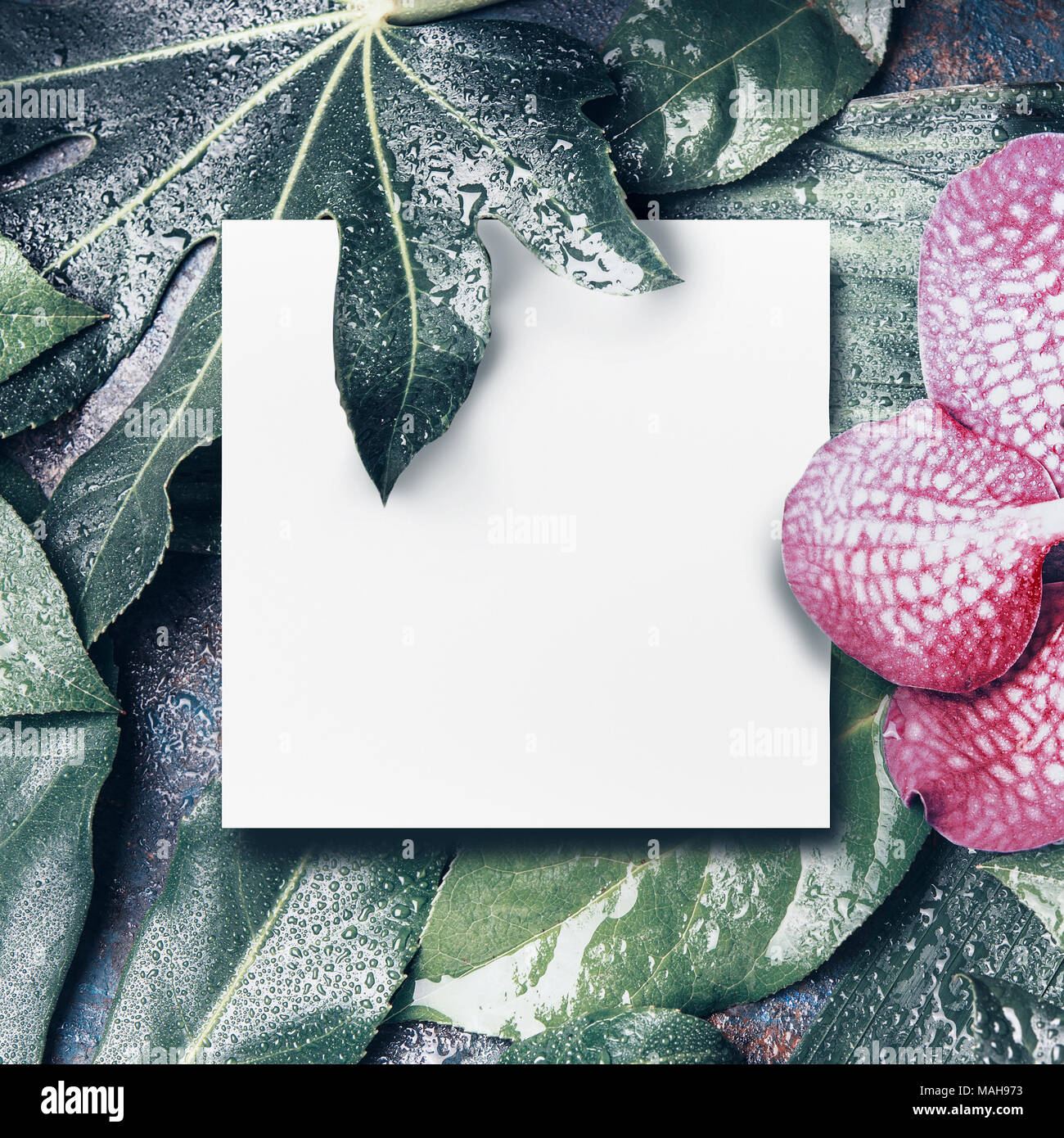 Foglie tropicali e fiori layout con vuoto bianco foglio di carta sfondo per  il vostro design Foto stock - Alamy