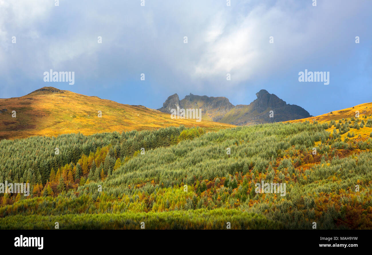 Ben Arthur (il ciabattino), in Arrochar Alpi, Argyll and Bute, Regno Unito Scozia. Di prima mattina autunnale di luce. Foto Stock
