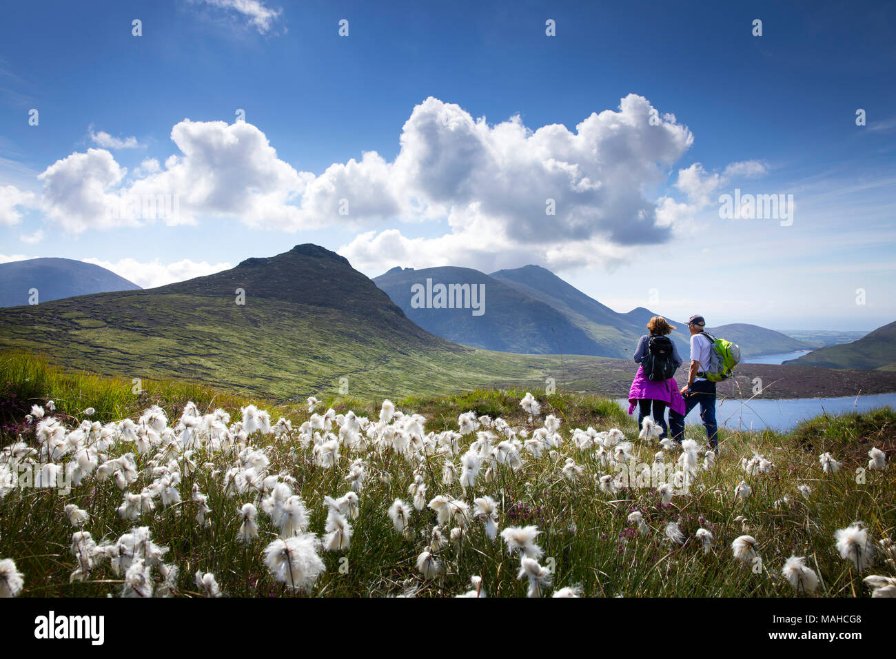 Mourne Mountains, County Down, Irlanda del Nord Foto Stock