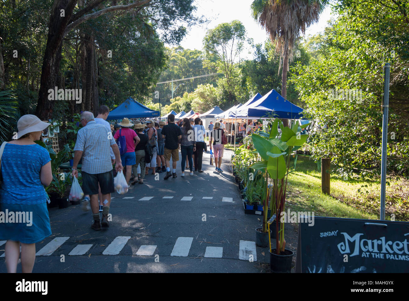 Un locale mercato degli agricoltori a Pacific Palms nel NSW mid north coast off Australia Foto Stock