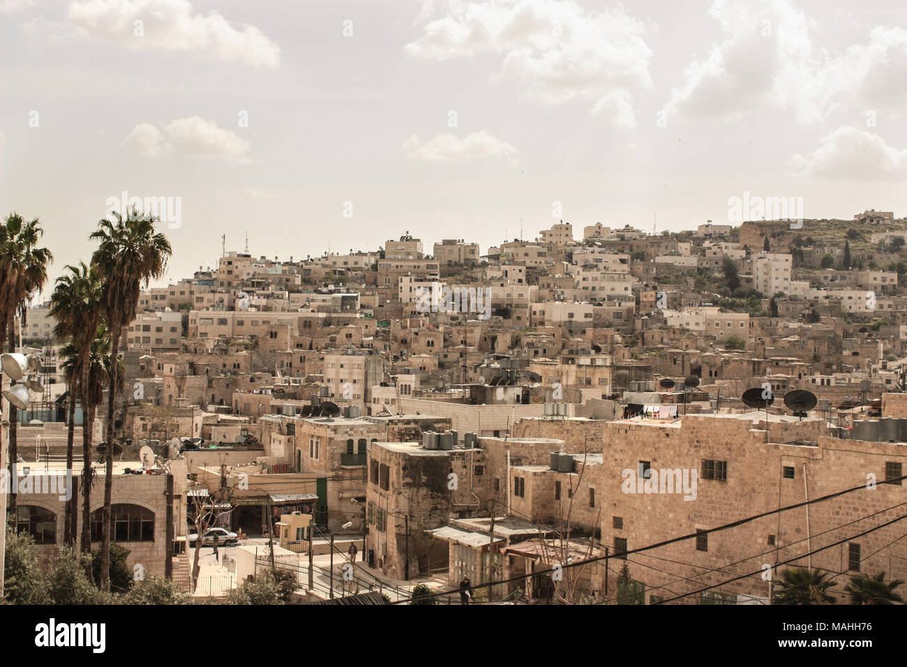 Vista della città di Betlemme in occupati territori palestinesi con alberi di palma in primo piano Foto Stock