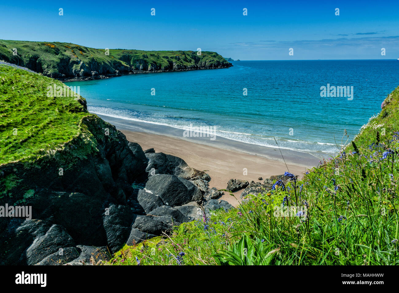 Pembrokeshire Coast Path, Haverfordwest SA62 3BJ Foto Stock