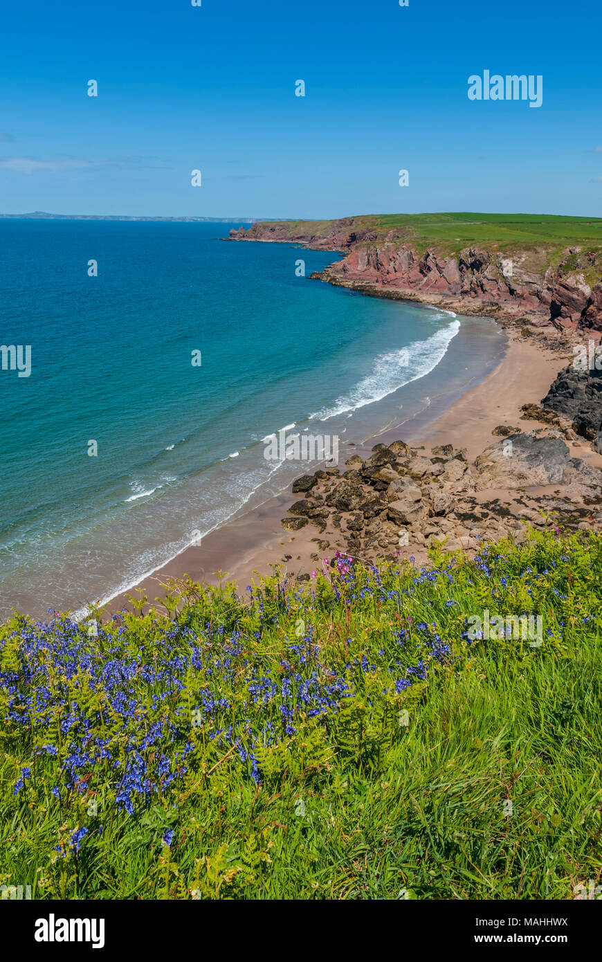 Pembrokeshire Coast Path, Haverfordwest SA62 3BJ Foto Stock