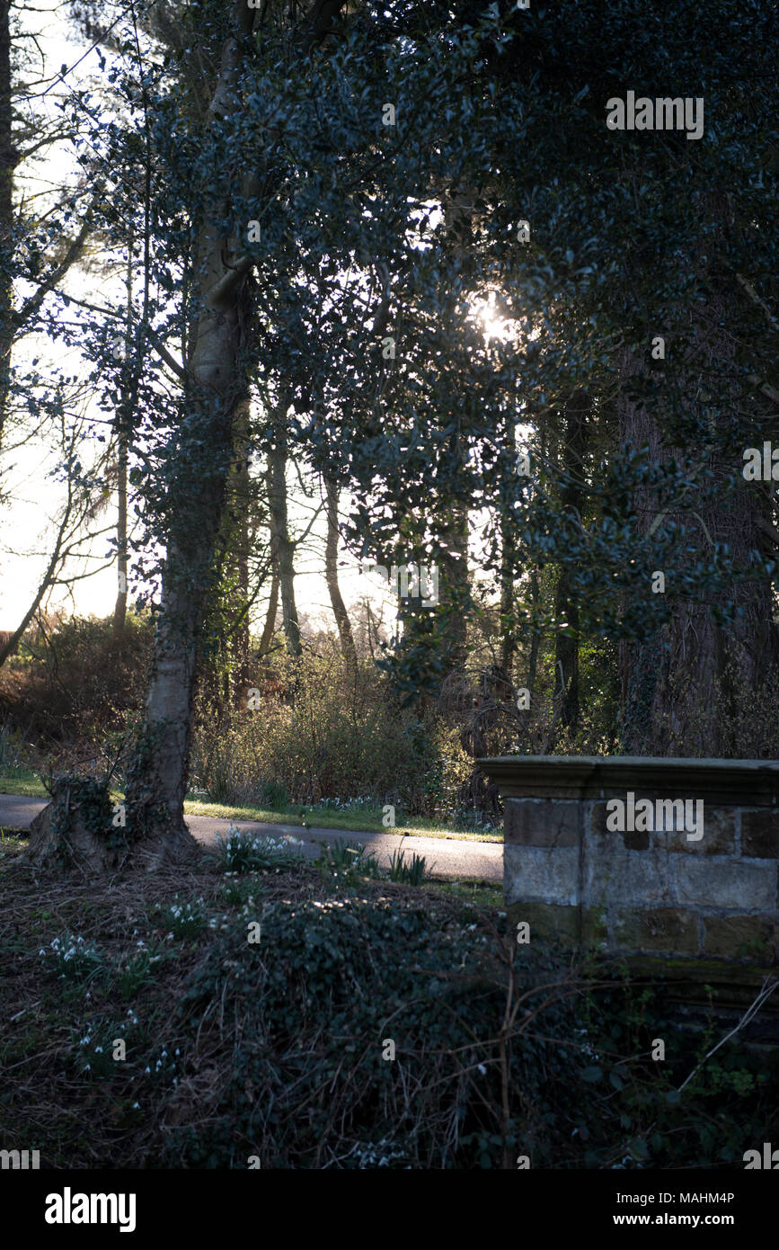 La luce del sole scorre attraverso gli alberi boschivi accanto a una vecchia struttura in pietra su una tranquilla strada di campagna, l'Inghilterra Foto Stock