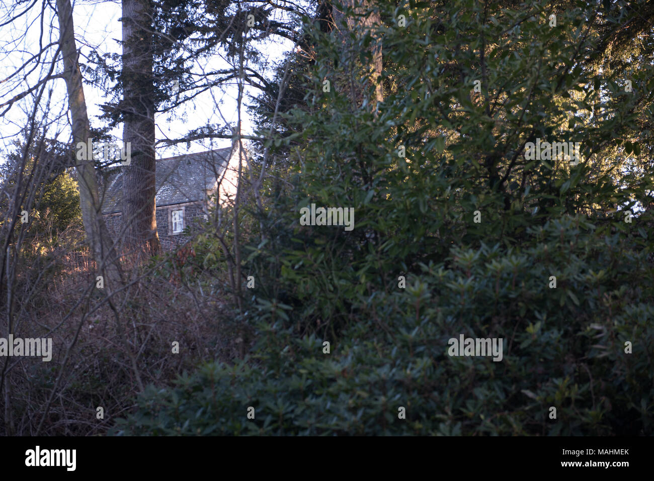 La luce del sole scorre attraverso gli alberi boschivi accanto a una vecchia struttura in pietra su una tranquilla strada di campagna, l'Inghilterra Foto Stock