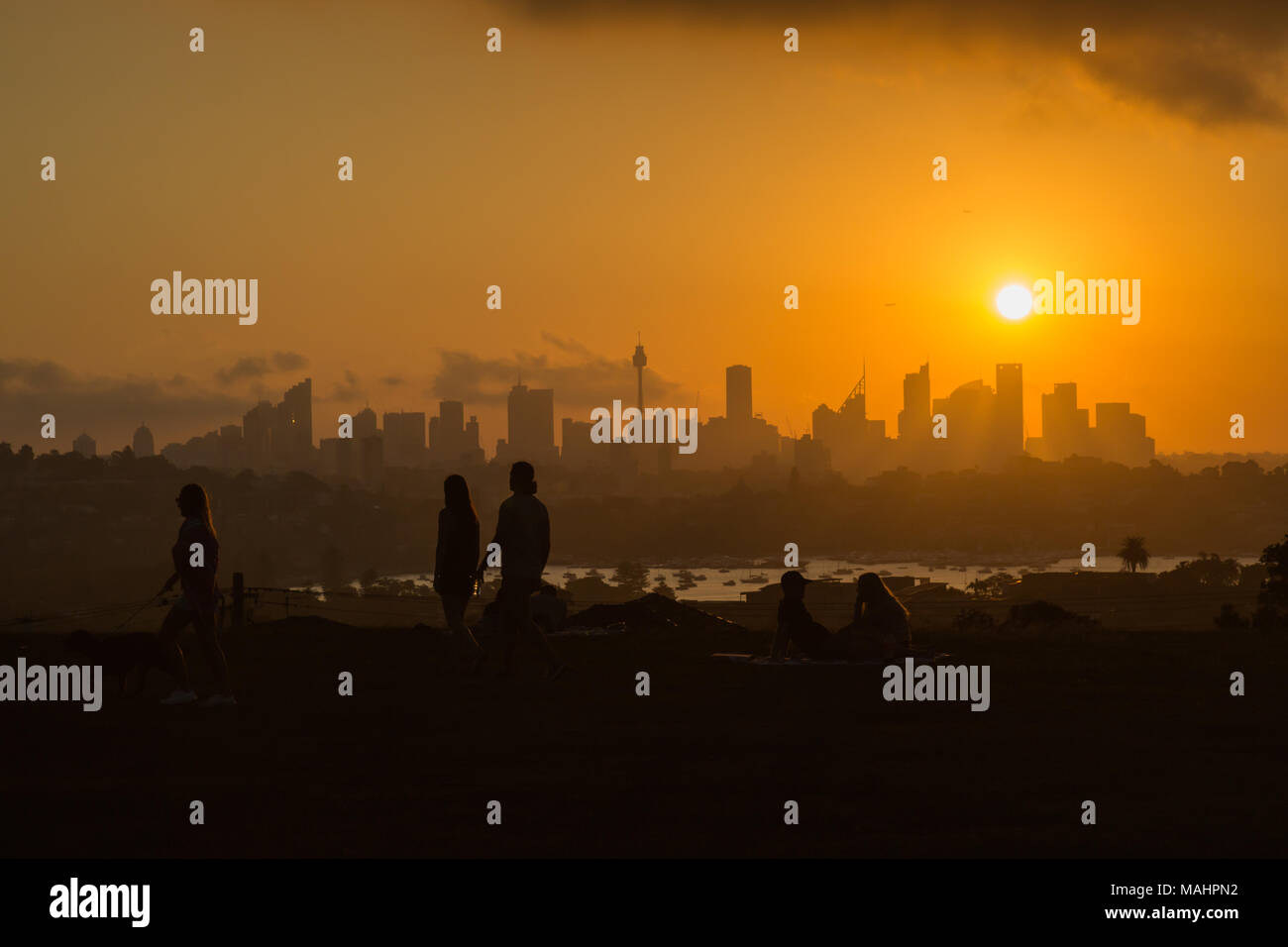 Un tramonto spettacolare a Dudley Page Riserva, sobborghi Orientali, Sydney. Splendide viste della skyline di Sydney al tramonto. Foto Stock