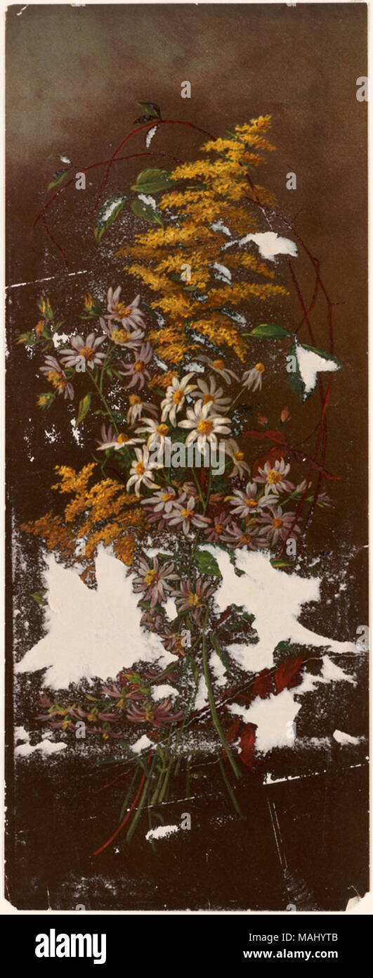 Nome file: 07 11 000999 Titolo: Wild Aestri e Golden-biella creatore/collaboratore: Hardy, Annie Eliza, 1839-1934 (artista); L. Prang & Co. (Editore) Data di pubblicazione: 1861-1897 (approssimativo) descrizione fisica nota: Genere: Chromolithographs; ancora vita consente di stampare le note: Titolo fornito da cataloger. Posizione: Boston Public Library su 2011-08-06: Fotocamera: Sinar AG Sinarback 54 FW, Sinar m Foto Stock