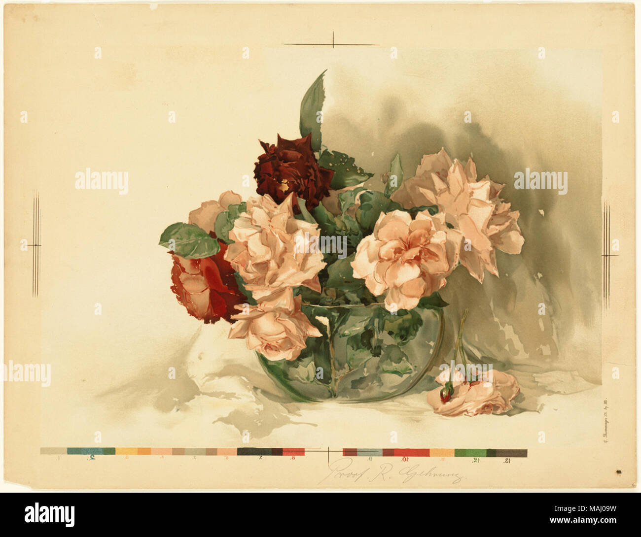 Nome file: 07 11 001309 Titolo: Rose in un vaso di vetro creatore/collaboratore: L. Prang & Co. (Editore) Data di pubblicazione: 1861-1897 (approssimativo) descrizione fisica nota: stampa di prova Genere: Chromolithographs; ancora vita stampe; prove Note: Titolo fornito da cataloger. Posizione: Boston Public Library su 2011-08-04: Fotocamera: Sinar AG Sinarback 54 FW, Sinar m Foto Stock