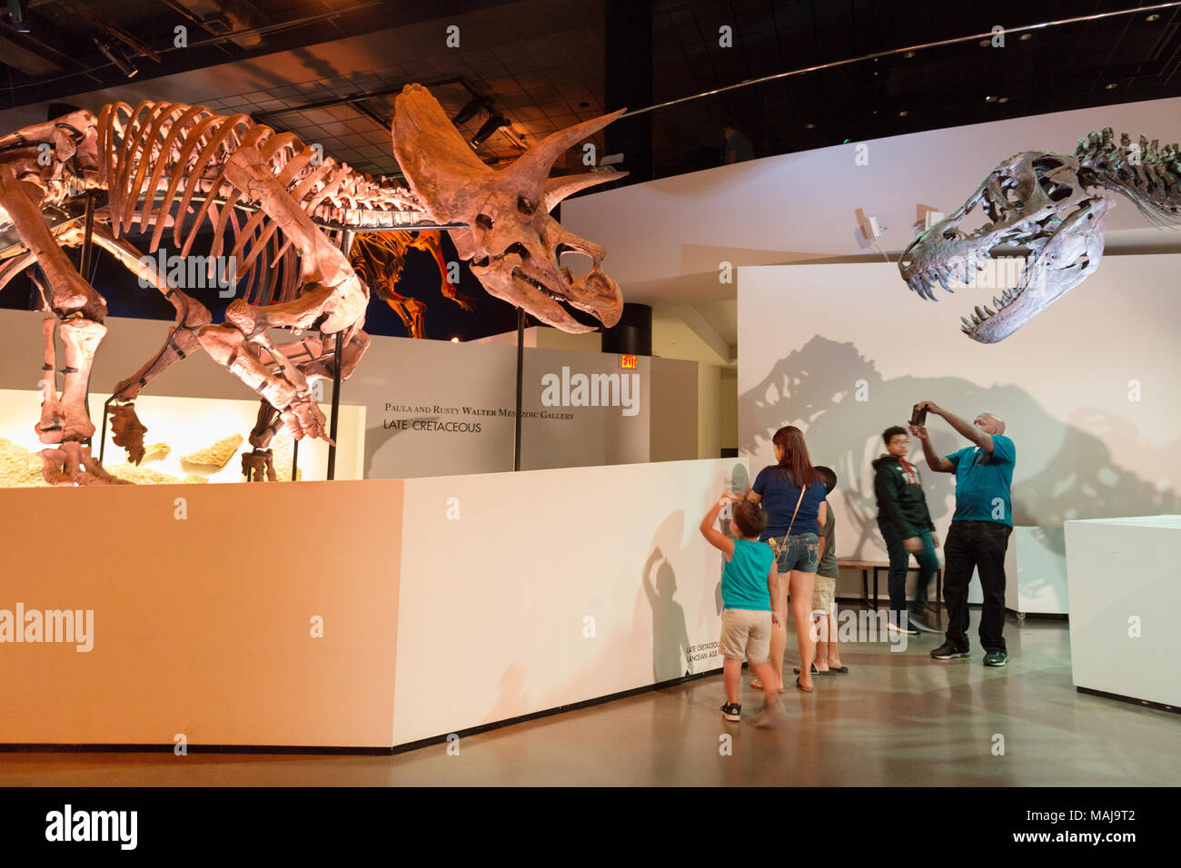 I visitatori del museo guardando gli scheletri di dinosauri, Houston Museo di Scienza Naturale, Houston, Texas, Stati Uniti d'America Foto Stock