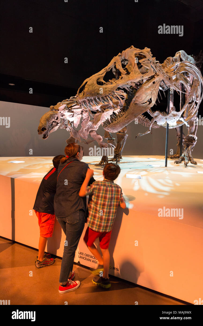 Madre e bambini guardando gli scheletri di dinosauri, Houston Museo di Scienza Naturale, Houston Texas USA Foto Stock