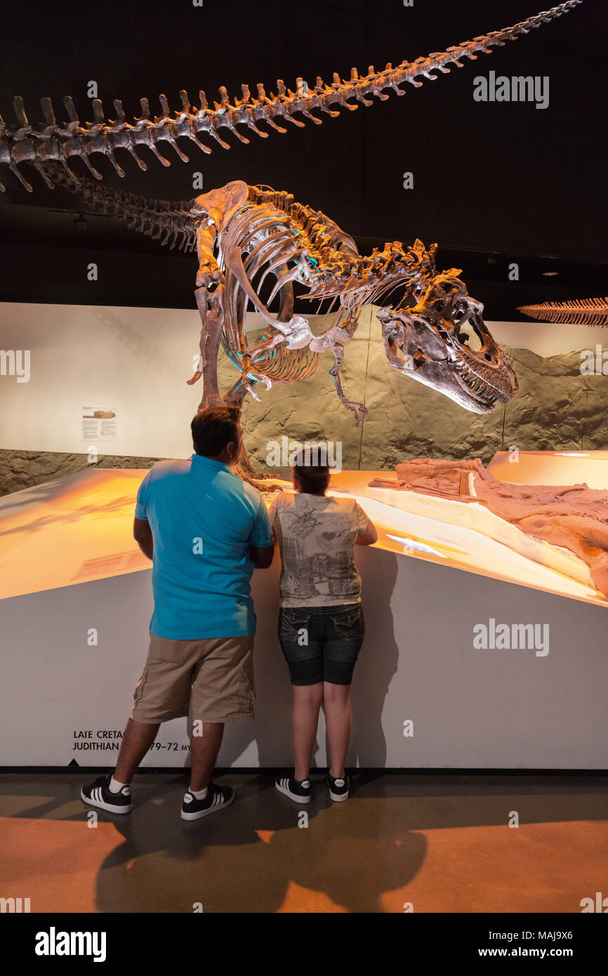 Un padre e un bambino guardando un fossile di dinosauro scheletro, Houston Museo di Scienza Naturale, Houston Texas USA Foto Stock