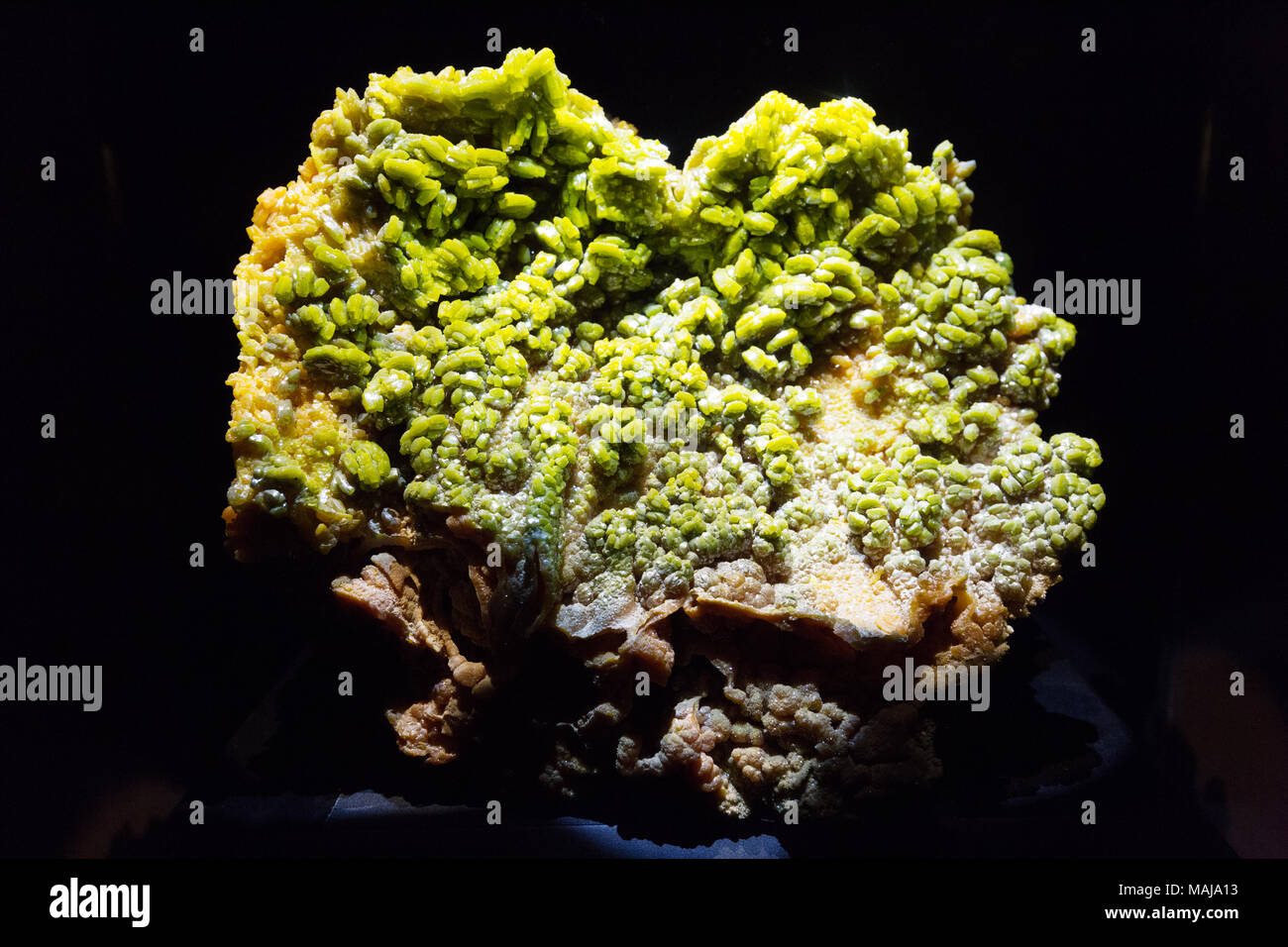 Un esemplare del verde quali Pyromorphite minerali, (filo clorofosfato ). Foto Stock