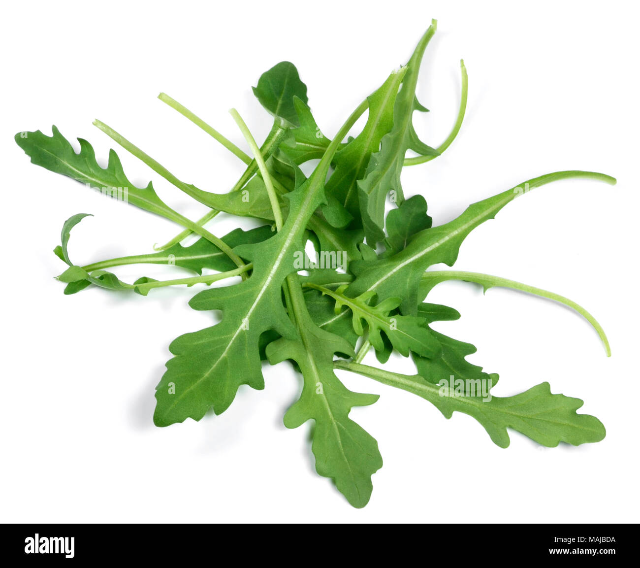 Rucola fresca o rucola, isolati su sfondo bianco. Insalata di rucola. Foto Stock