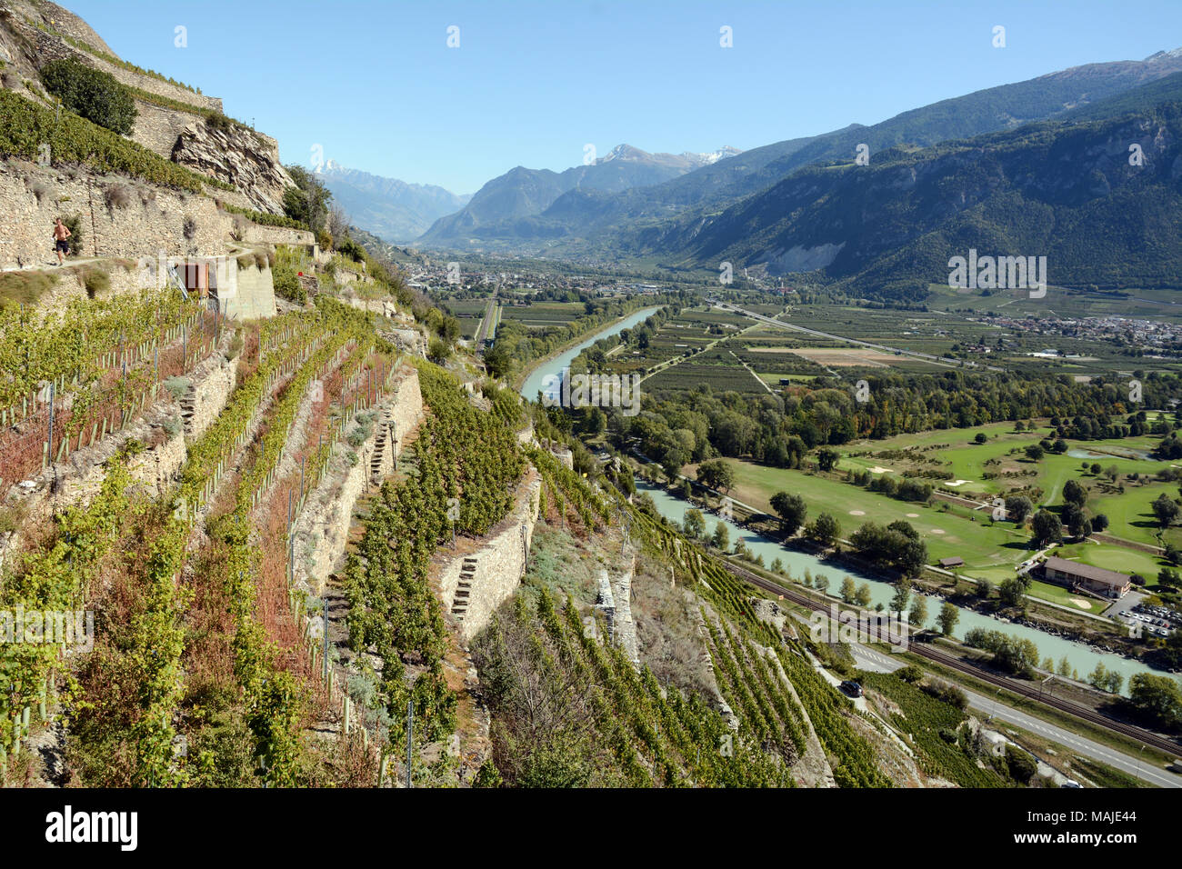 A terrazze di vigneti di uve, visto dal vino svizzero il sentiero sopra la città di Sion, in alto la valle del Rodano, canton Vallese, Svizzera meridionale. Foto Stock