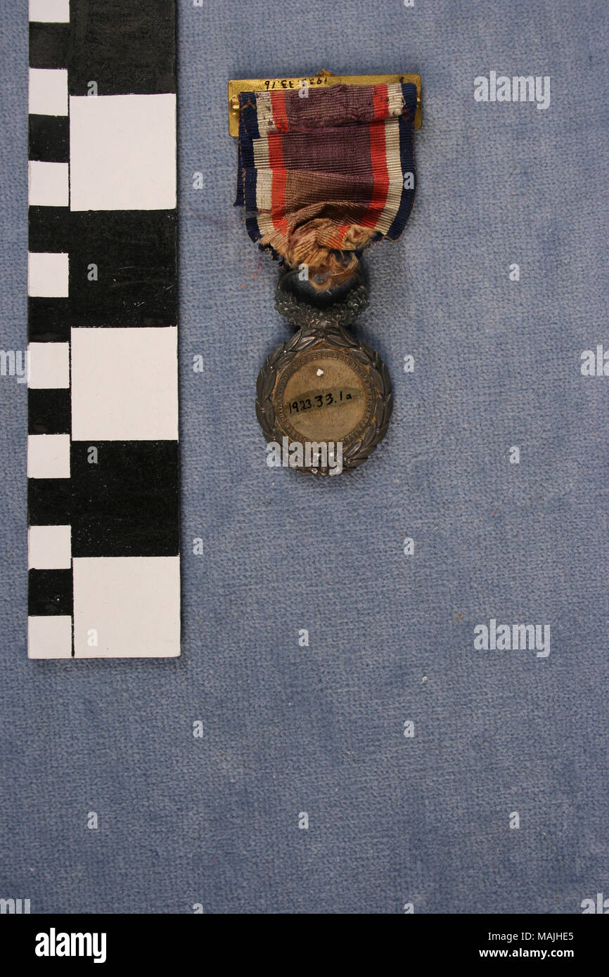 Medaglia d'oro insieme nella corona di argento con rosso, bianco e blu ribbon; barra forata con le spade incrociate, Eagle e corona; complementare ha busto di Napoleone III, Eagle, il cannone e tende. Titolo: medaglia di Napoleone III assegnato a Nicolas Matheu . tra il 1853 e il 1854. Caque Foto Stock