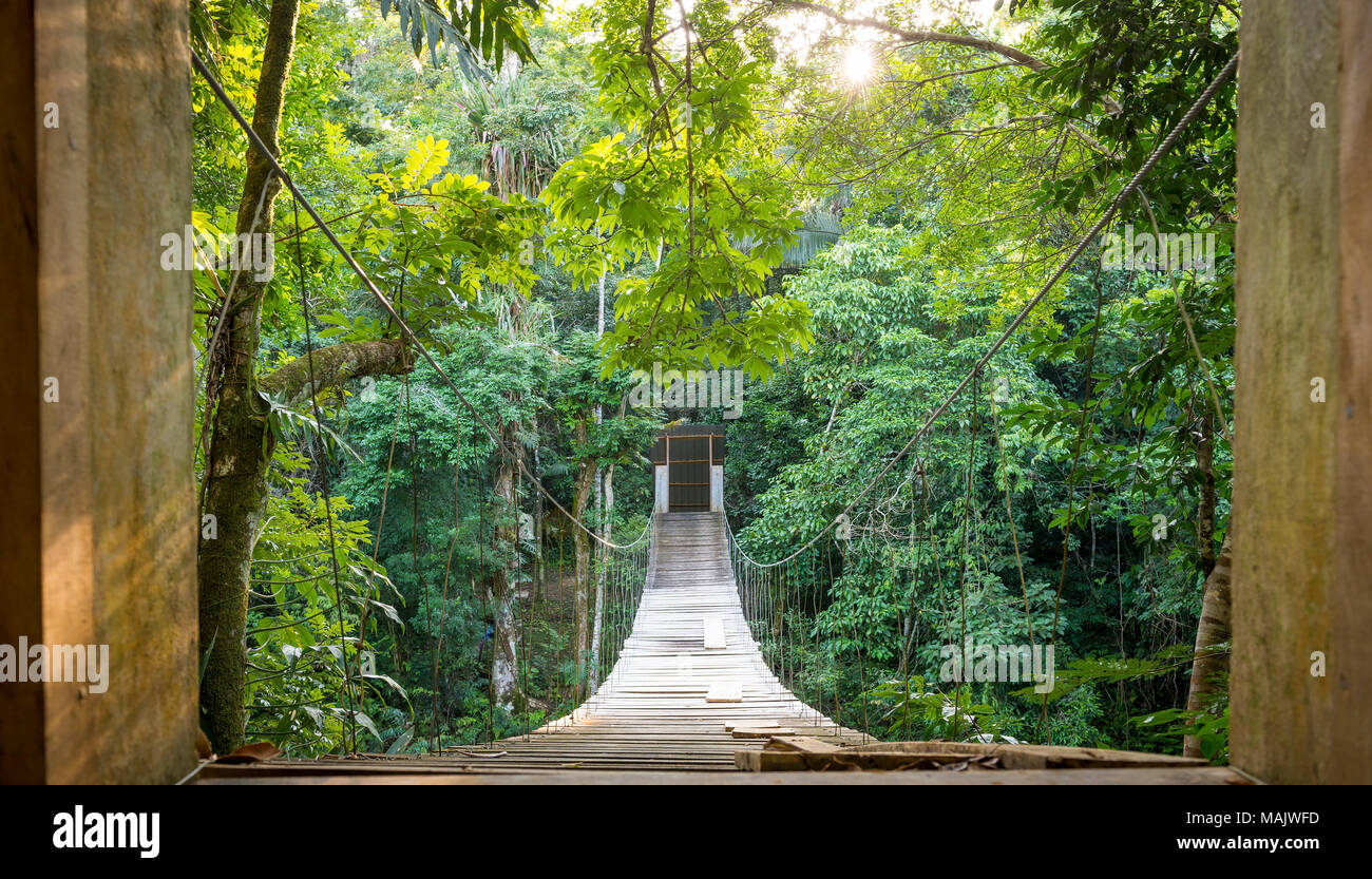 Fuga in solitudine con appeso nella giungla di scena a ponte Foto Stock