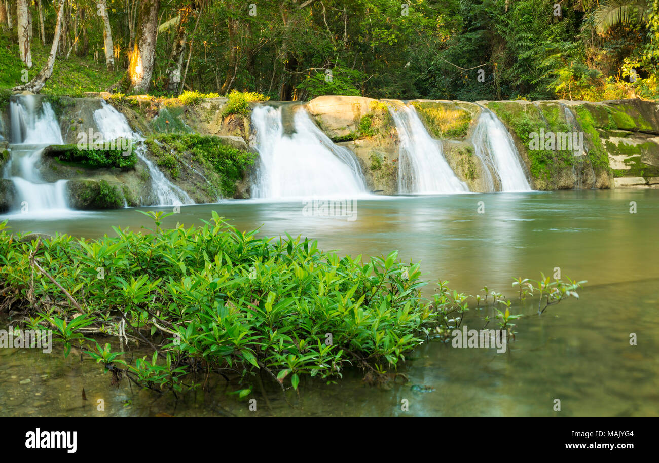 San Antonio cascata in Toledo Belize circondato da una lussureggiante giungla verde Foto Stock