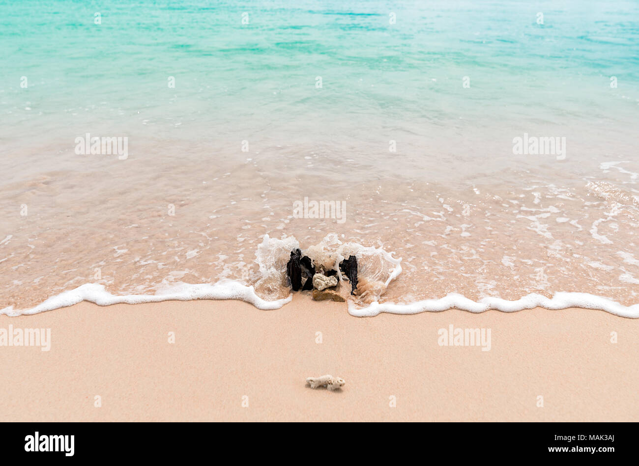 Una piccola onda da un chiaro mare turchese giostre fino la Spiaggia Rosa di Sud Est Lombok, Indonesia e si blocca in un piccolo ceppo di albero e alcuni coral ro Foto Stock