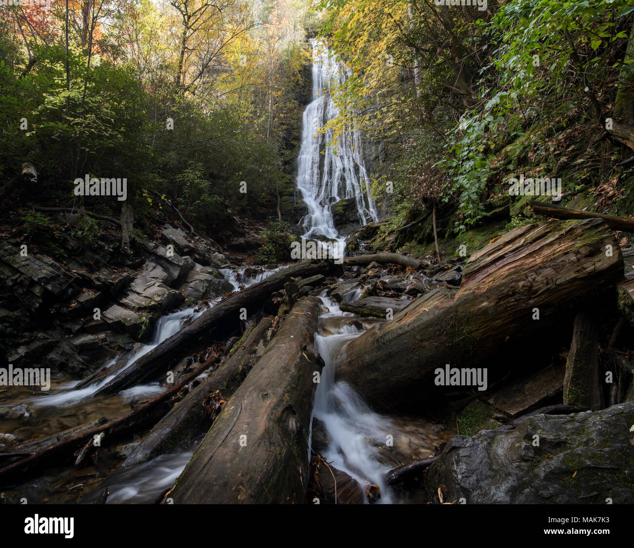 Mingo Falls sono di circa 120 piedi alto e una delle cascate più elevato nel sud Appalachians. Le cascate sono anche informalmente conosciuta come Big Bear Falls, quale è il significato tradotto di Mingo cade. Le cascate sono facilmente raggiungibili off Big Cove Road fuori Cherokee. La passeggiata è solo .40 miglia, ma relativamente ripida lungo una scala il versante della montagna. Foto Stock