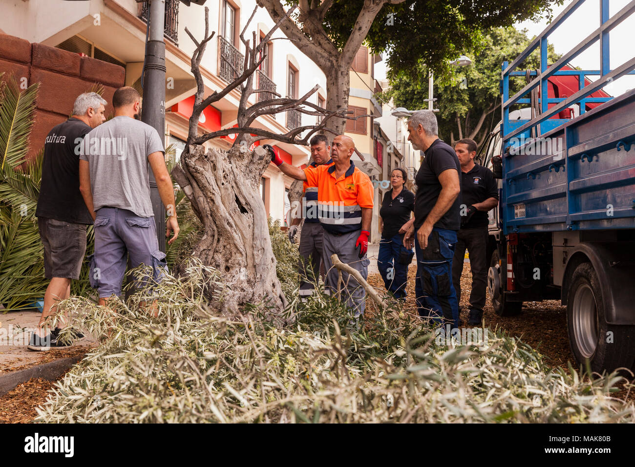 Impostazione di fase essendo preparato per l annuale Venerdì Santo Passion Play in Calle Grande, Adeje, Tenerife, Isole canarie, Spagna Foto Stock