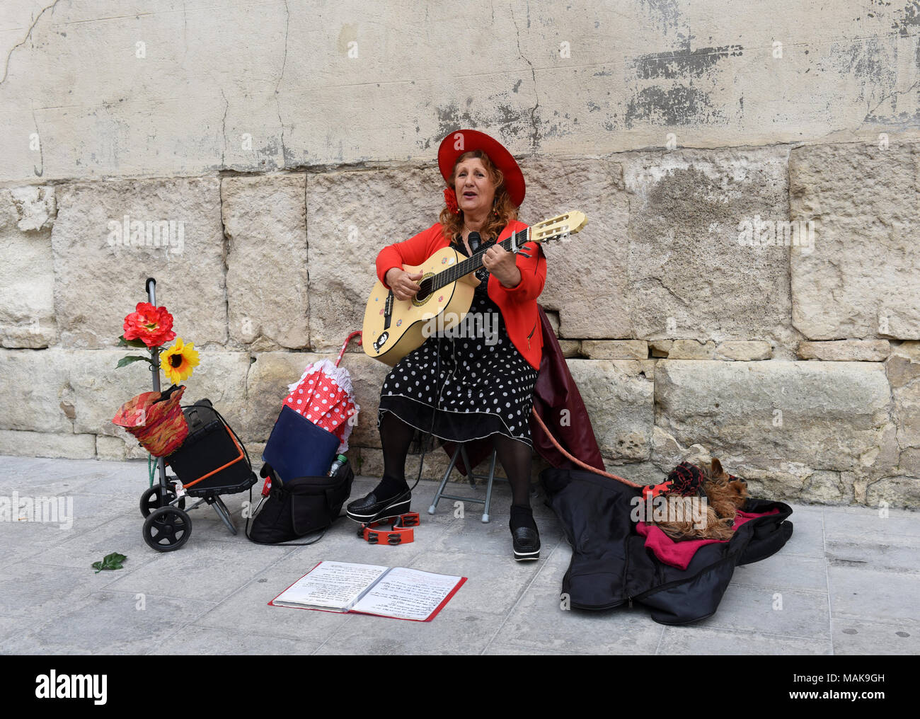 Donna musicista di strada con il suo cane in Arles, Francia Foto Stock
