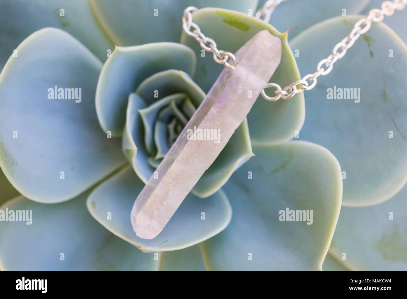 La forma naturale del cristallo di quarzo pendente in pietra su sfondo semprevivo Foto Stock