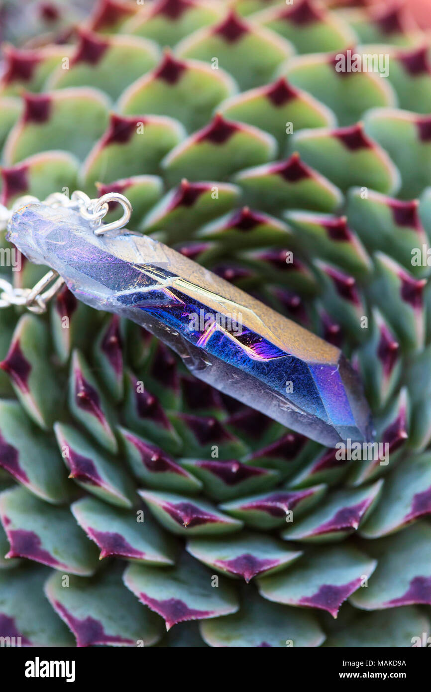 La forma naturale del cristallo di quarzo pendente in pietra su sfondo semprevivo Foto Stock