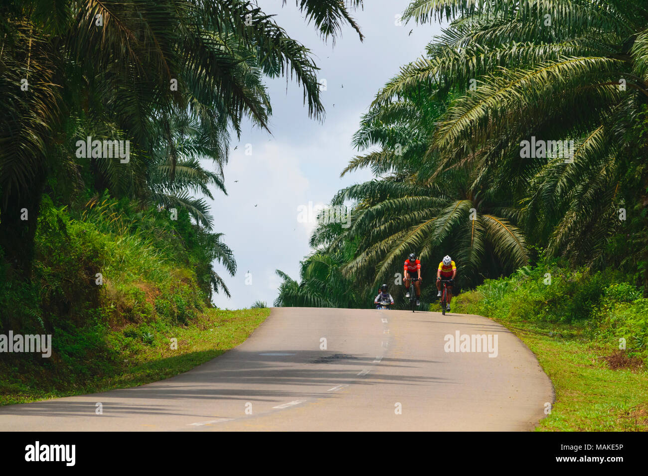 Marzo 24, 2018 - i ciclisti partecipanti Tour de bintan 2018 (144 km) stanno attraversando le piantagioni Toapaya e Galang batang, Bintan Island - Indonesia Foto Stock