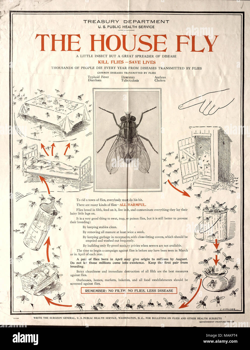 Emesso da parte del governo degli STATI UNITI Servizio sanitario pubblico, il Dipartimento del Tesoro. Titolo: illustrata circolare: "La Casa di volare, un piccolo insetto ma un grande spanditore di malattia,' [1919] . 1919. Stati Uniti. Servizio Pubblico di Sanità Foto Stock