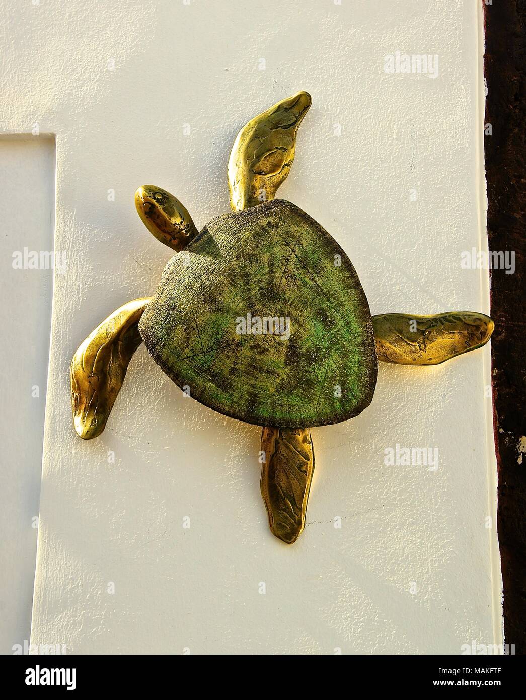 Scultura di tartaruga sulla parete Foto Stock