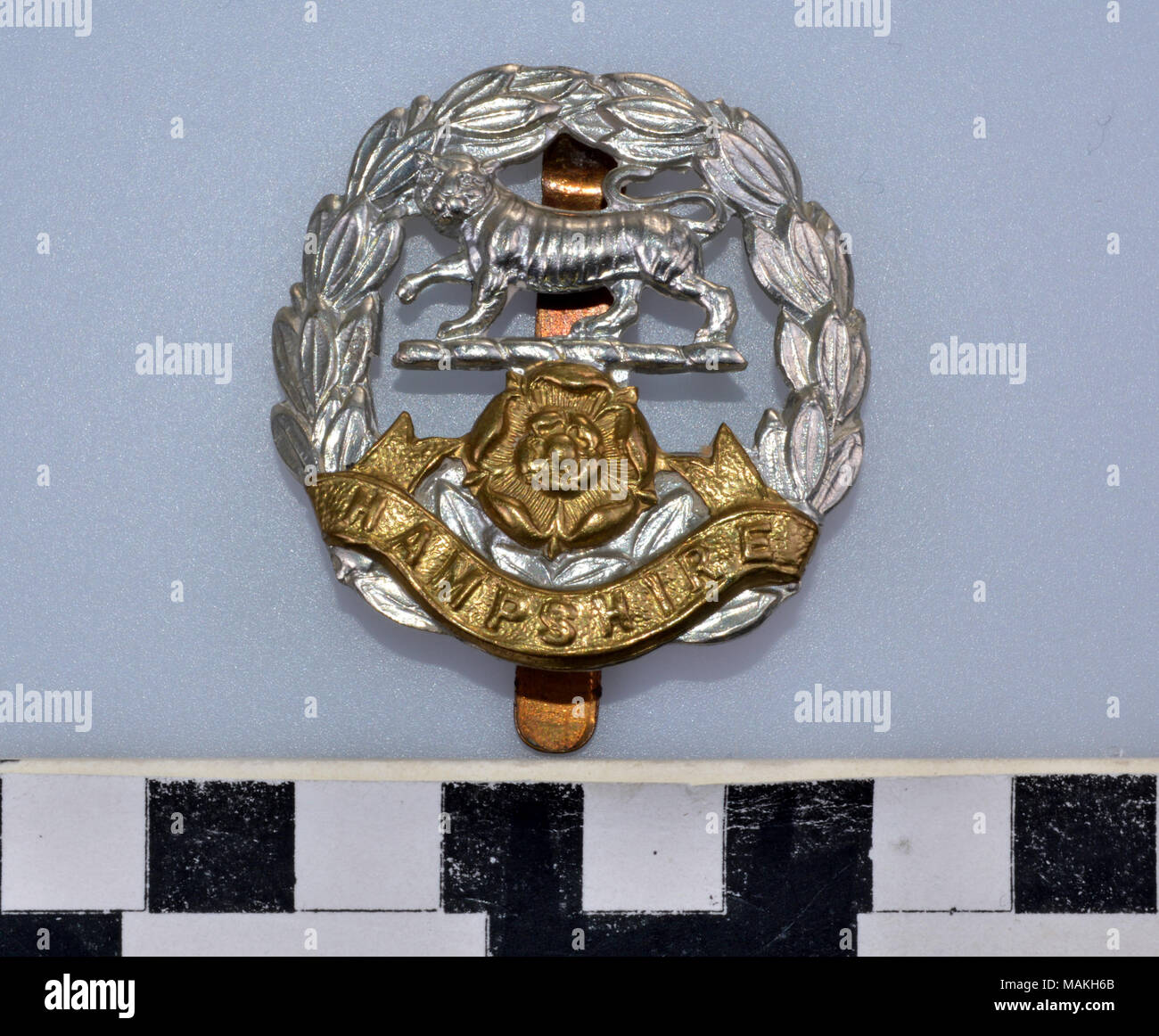 I Guerra Mondiale Hampshire reggimento di ottone e argento metallico hat badge con una rosa in ottone e sormontata da un argento tiger, fiancheggiata a sinistra e a destra da una corona di alloro tutte al di sopra di un banner goffrato Hampshire. Titolo: la guerra mondiale I Reggimento Hampshire Hat monogramma . dopo il 1881. Foto Stock