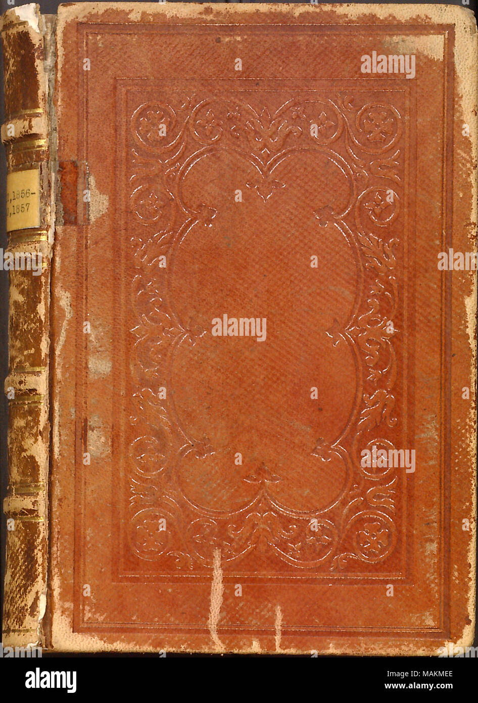 Include le descrizioni del processo di pubblicazione del suo libro, la fisiologia di New York Boarding-Houses; il suo cattivo stato mentale; incontro Walt Whitman; visite con Fanny Fern, James Parton, e Harriet Jacobs' figlia Louisa, che è vivere con loro; una visita al Catskill Mountains con la famiglia Edwards; la sua casa di imbarco a 132 Bleecker Street; lavora per un giornale europeo con il Colonnello Hugh Forbes; la morte di un editore, William Levison [A.K.A. Giulio Cesare Annibale], e sua figlia Ellen; visitando la scena dell' omicidio di un dentista di tracciare le femmine sospette; visitare nuovi Foto Stock