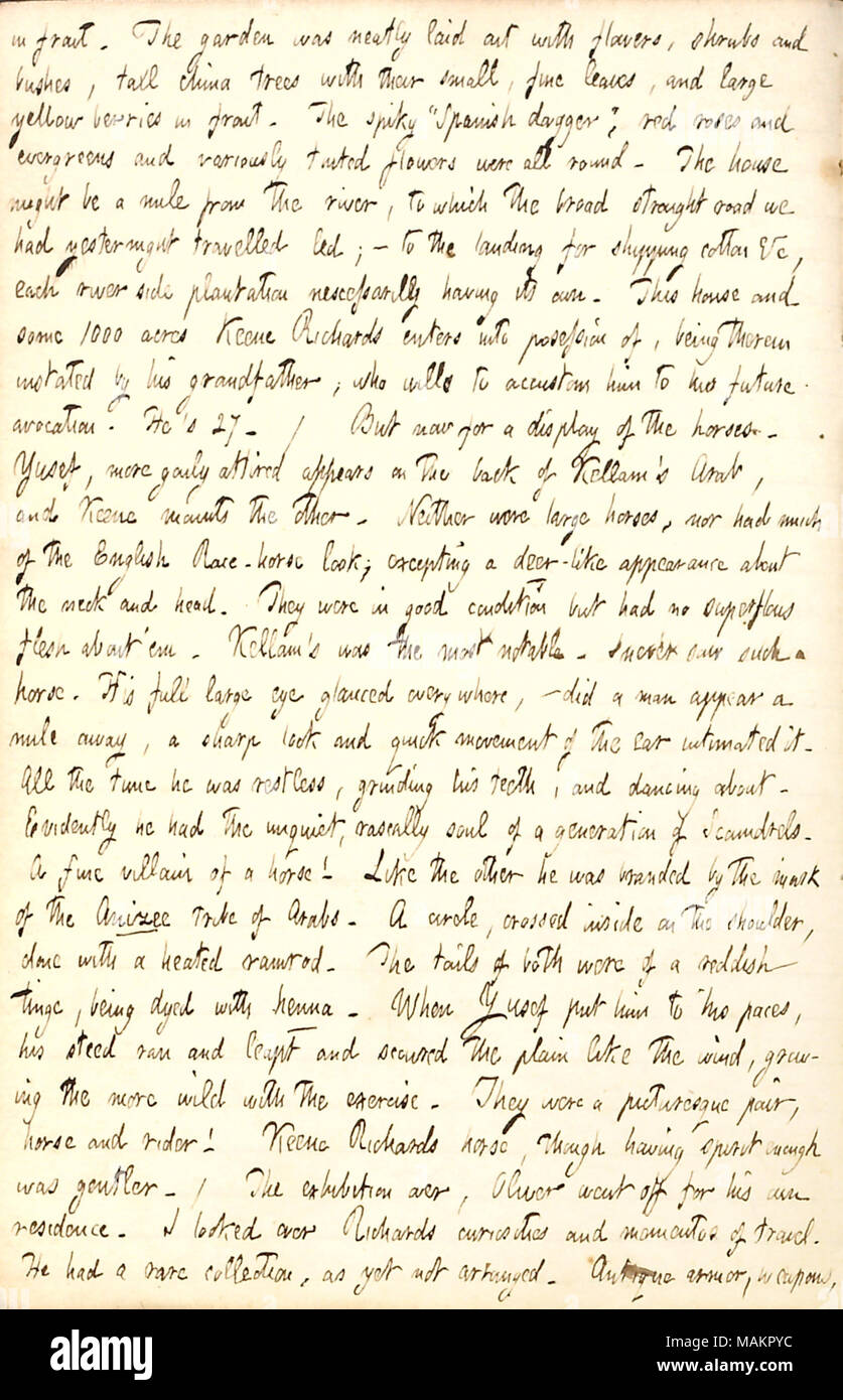 Descrive Oliver Kellam's cavalli arabi. Trascrizione: di fronte. Il giardino era perfettamente steso con fiori, arbusti e cespugli alti alberi di Cina con le loro piccole foglie sottili e grandi bacche di colore giallo nella parte anteriore. Il ?pungenti ǣSpanish pugnale, ? Rose rosse e sempreverdi e variamente colorati fiori erano tutti i round. La casa potrebbe essere un miglio dal fiume, che l'ampia strada rettilinea avevamo viaggiato yesternight led; ? Per lo sbarco di cotone di spedizione &c, ciascuna riverside plantation nescessarilly avente la sua propria. Questa casa e alcune 1000 acri Keene Richards entra in possesso di, essendo Foto Stock Descrive Oliver Kellam's cavalli arabi. Trascrizione: di fronte. Il giardino era perfettamente steso con fiori, arbusti e cespugli alti alberi di Cina con le loro piccole foglie sottili e grandi bacche di colore giallo nella parte anteriore. Il ?pungenti ǣSpanish pugnale, ? Rose rosse e sempreverdi e variamente colorati fiori erano tutti i round. La casa potrebbe essere un miglio dal fiume, che l'ampia strada rettilinea avevamo viaggiato yesternight led; ? Per lo sbarco di cotone di spedizione &c, ciascuna riverside plantation nescessarilly avente la sua propria. Questa casa e alcune 1000 acri Keene Richards entra in possesso di, essendo Foto Stock