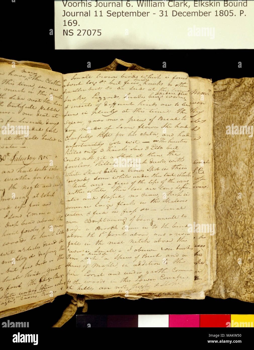 "Un piccolo uccello marrone che si trova sui registri. . ." Titolo: Clark Family collection: Volume 6. Elkskin ufficiale, pagina 169, Novembre 30, 1805 . Il 30 novembre 1805. Clark, William, 1770-1838 Foto Stock