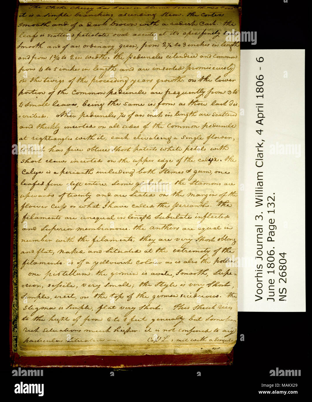 'La strozzatura Cherry è stata in blume poiché il ventesimo inst. Si tratta di una semplice derivazione stelo ascendente. . ." Titolo: Clark Family collection: Volume 3. Voorhis Gazzetta n. 3, pagina 132, 29 maggio 1806 . 29 maggio 1806. Clark, William, 1770-1838 Foto Stock