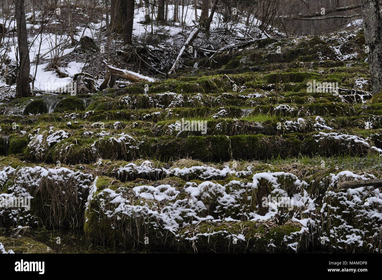 Calma fine delle cascate Foto Stock