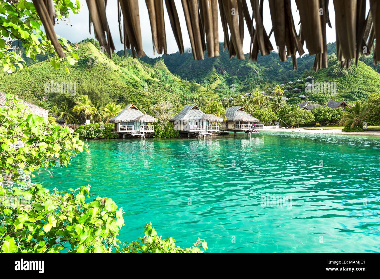 L'Isola di Moorea in Polinesia francese. Foto Stock