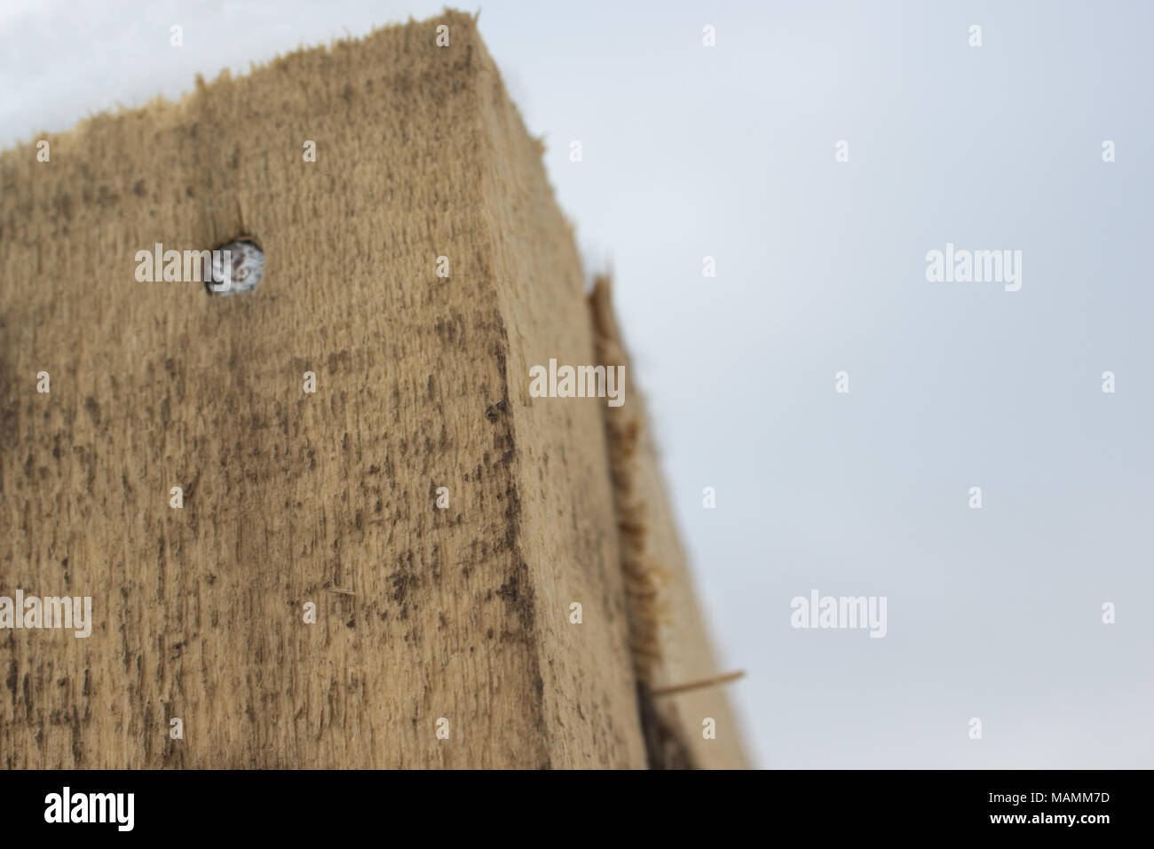 Una trave di legno con un chiodo Foto Stock