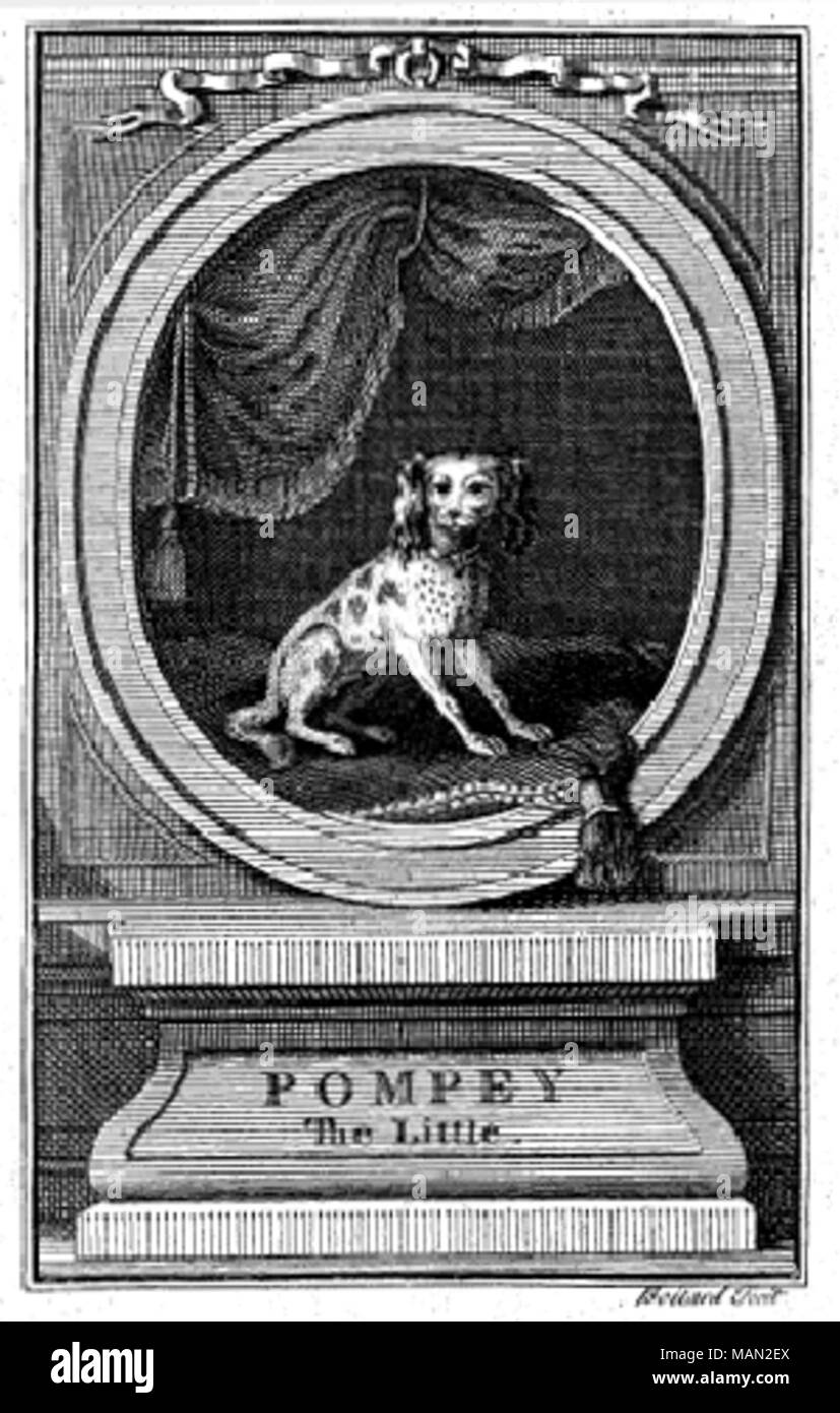 . Parte anteriore da Francesco Coventry: la storia di Pompeo il piccolo; o, la vita e le avventure di un Lap-Dog, Londra 1751. Attacco da Louis Boitard Foto Stock