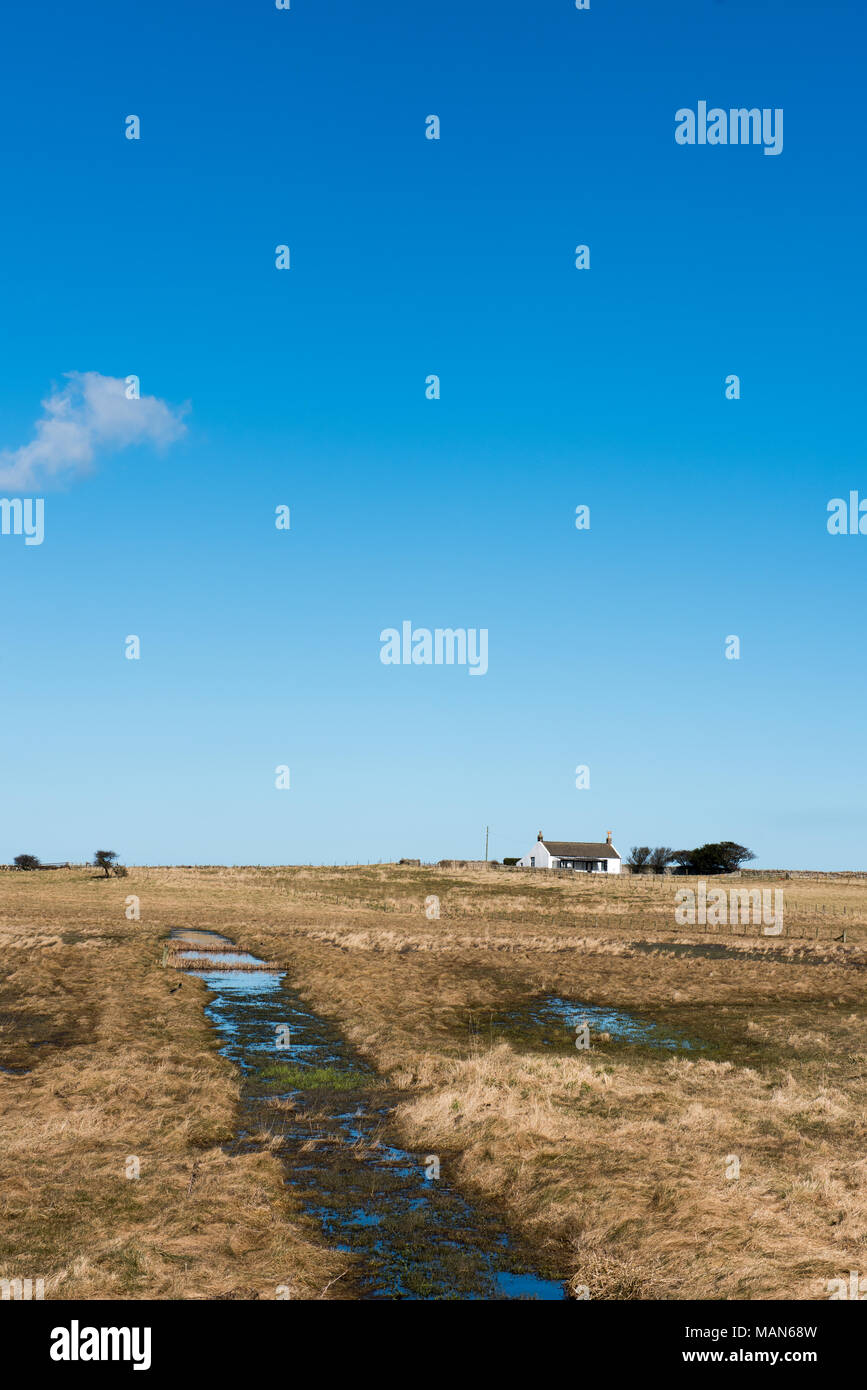 Cottage remoto dipinto di bianco su Holy Island, Northumberland, Regno Unito, circondato da paludi umide sotto un cielo azzurro Foto Stock