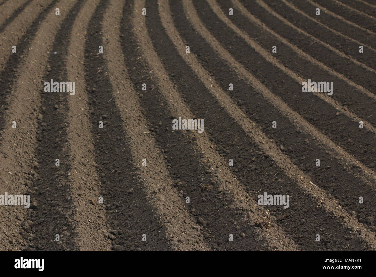 Coltivazione agricola: fresco terreno arato Foto Stock