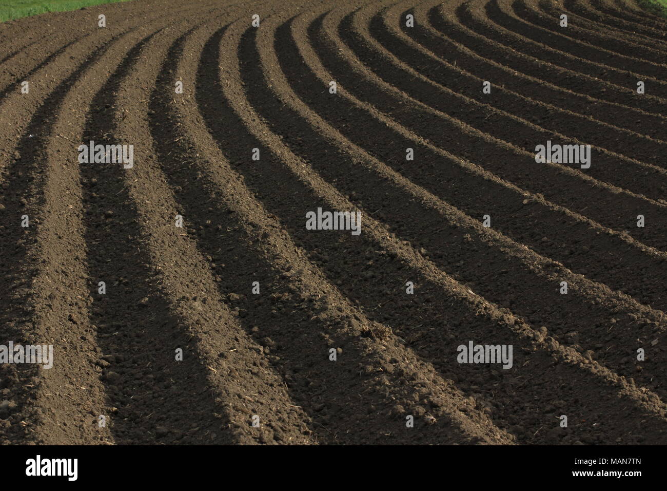Coltivazione agricola: fresco terreno arato Foto Stock